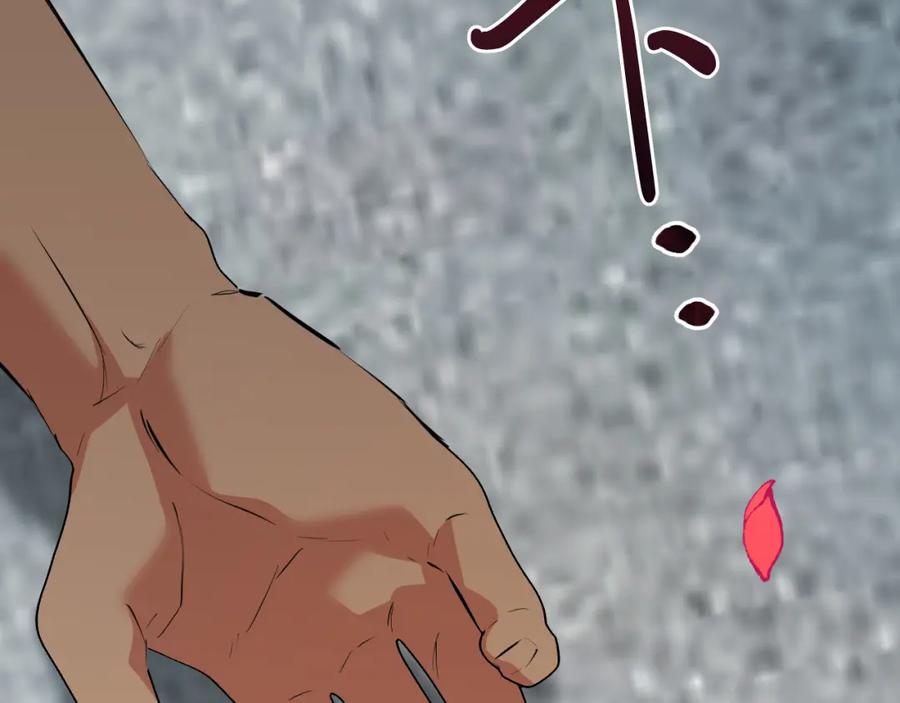 第228页