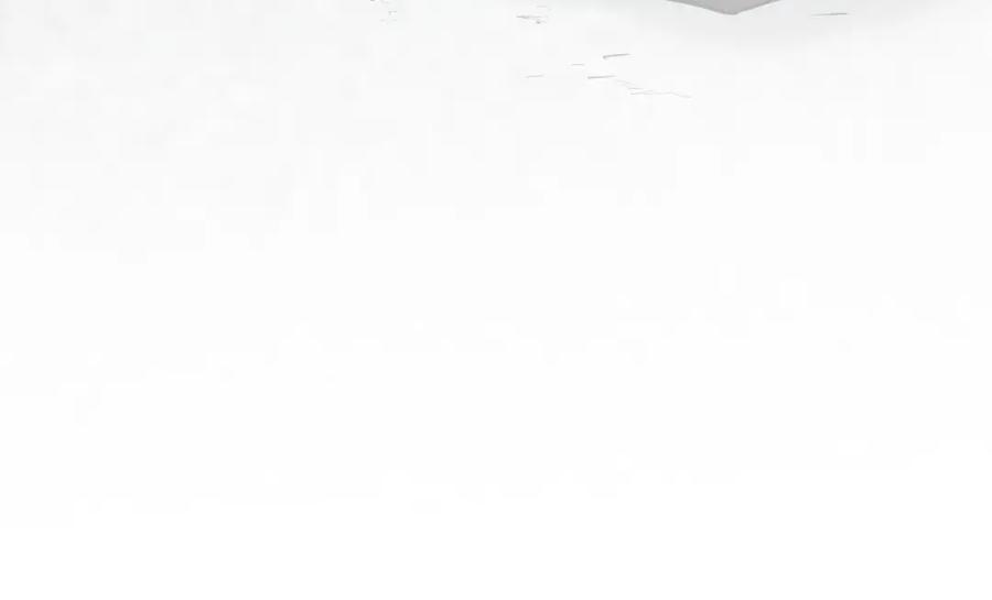 第231页