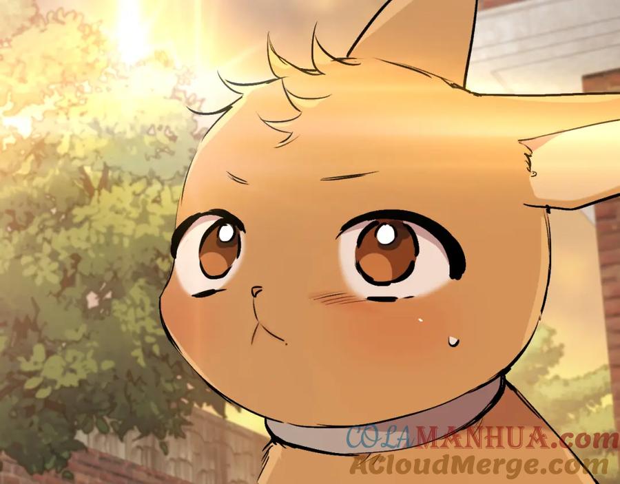 第205页