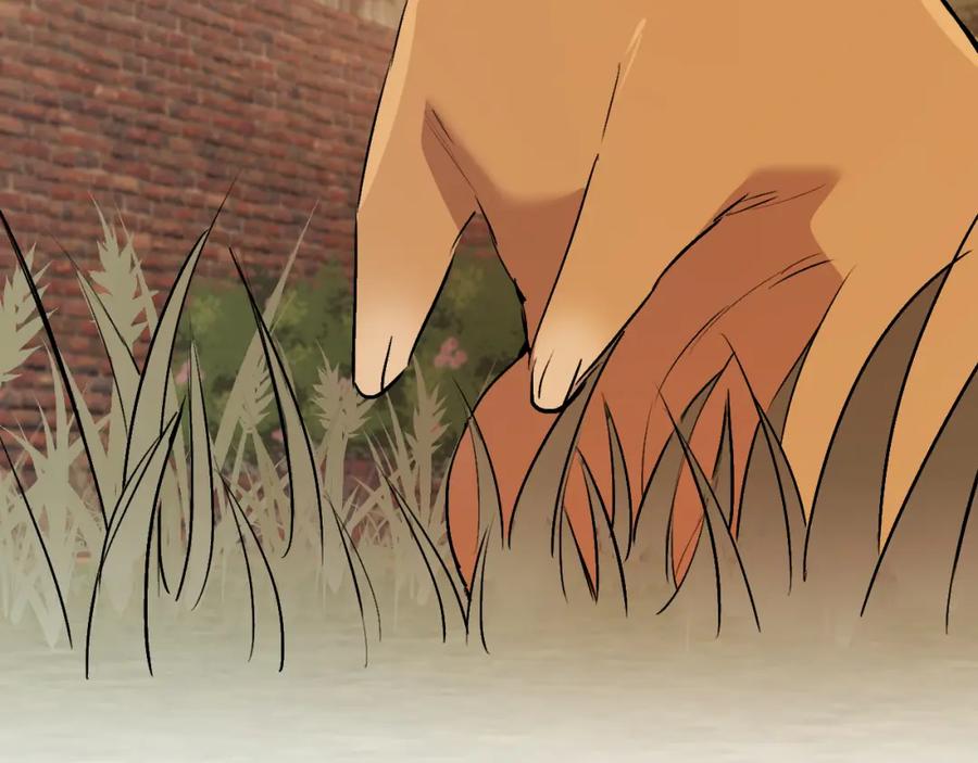 第206页