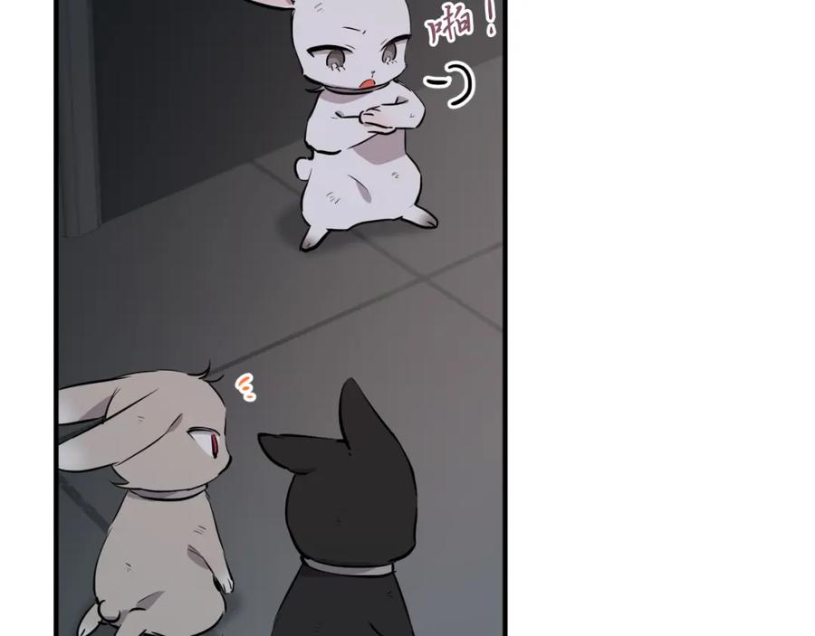 第211页