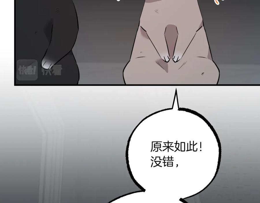 第215页