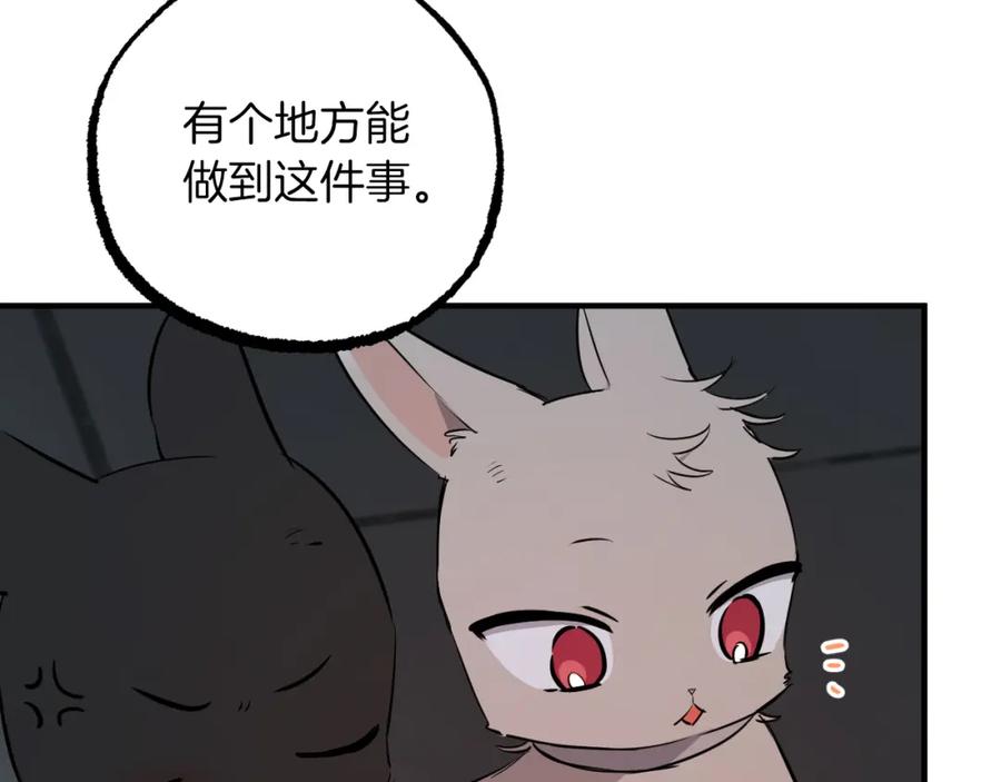 第235页