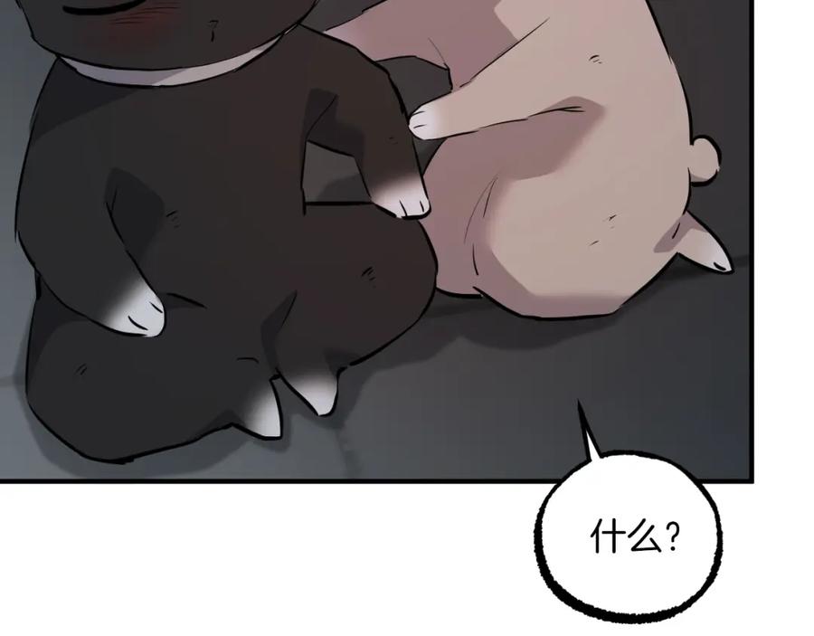 第236页