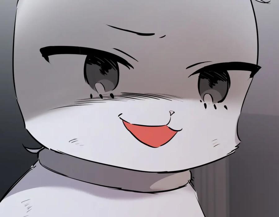 第239页