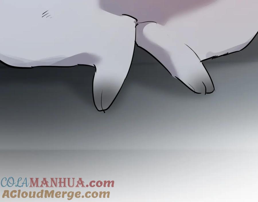 第241页