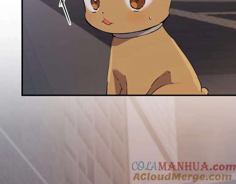 第197页