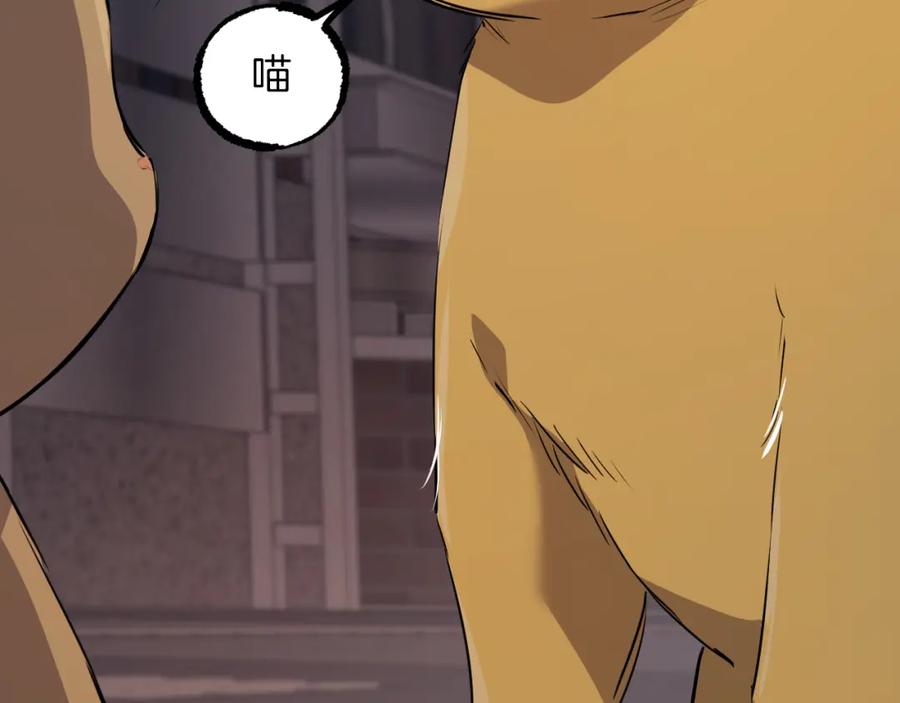 第200页