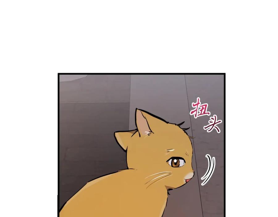第202页