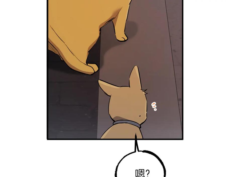第203页