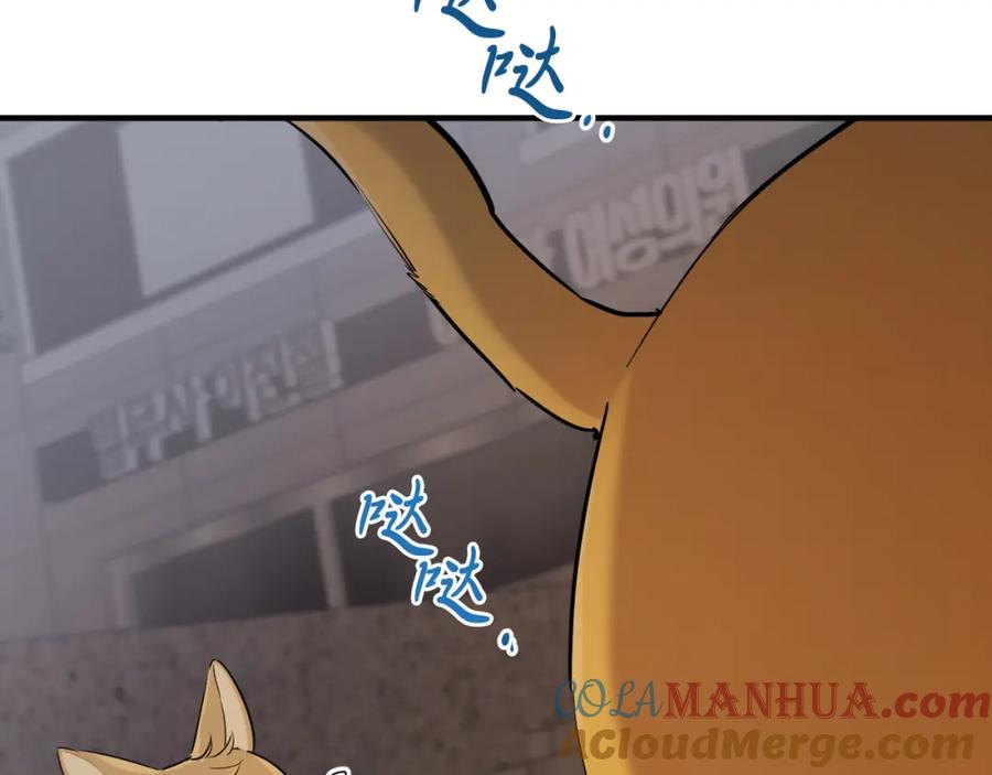 第205页