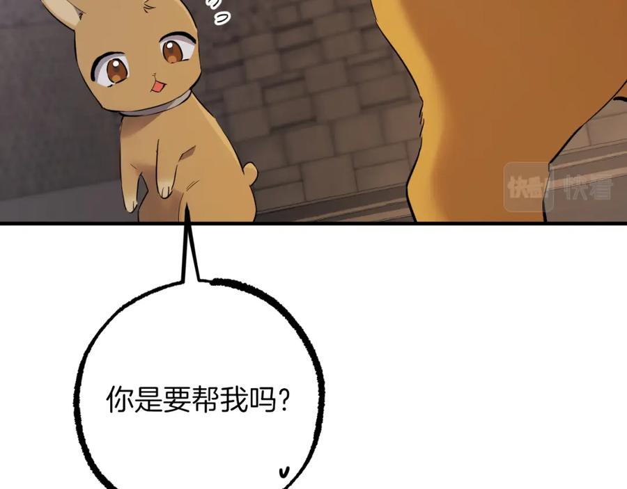第206页