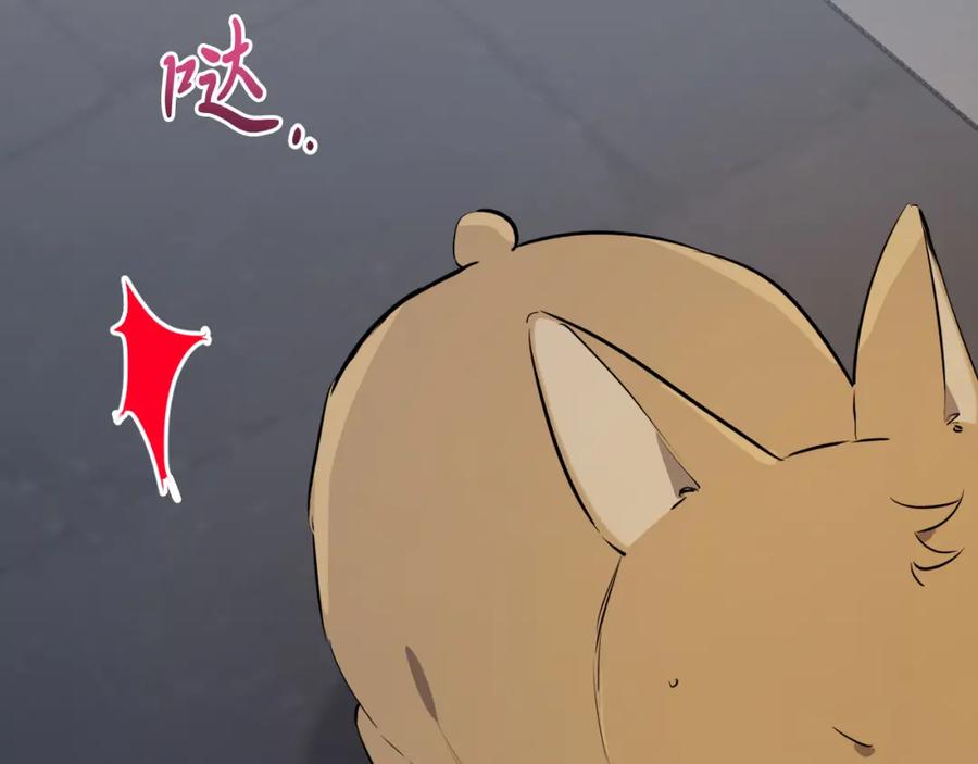 第214页