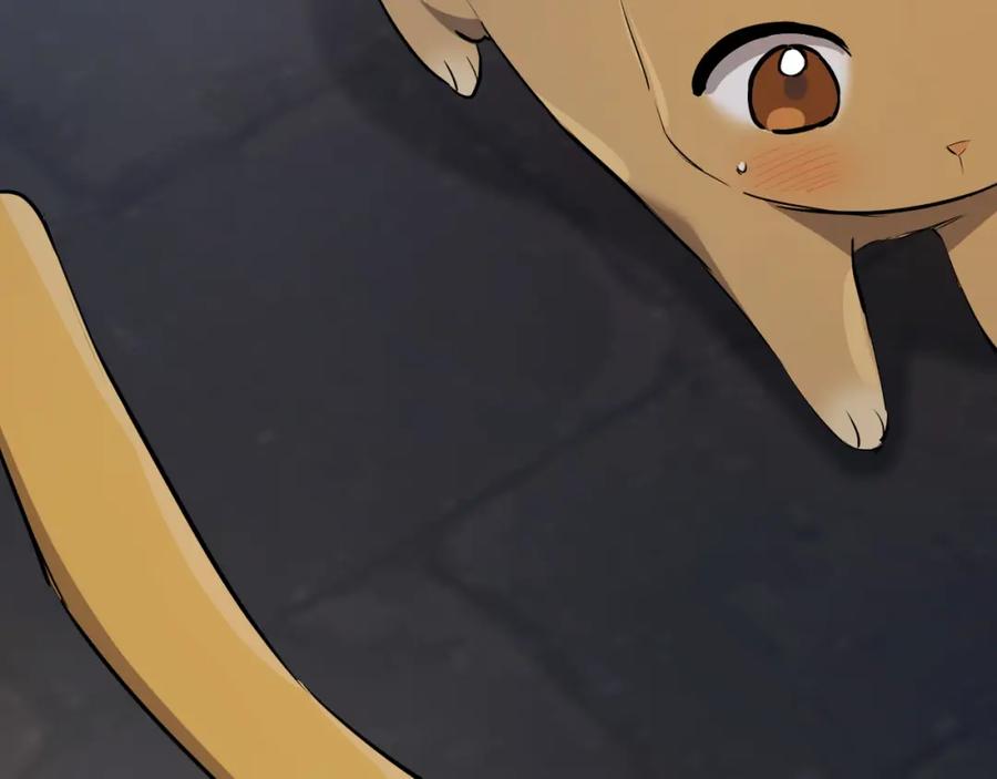 第215页