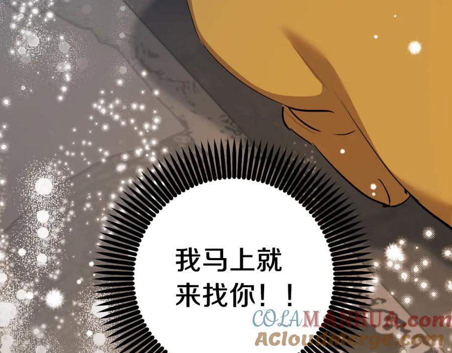 第217页