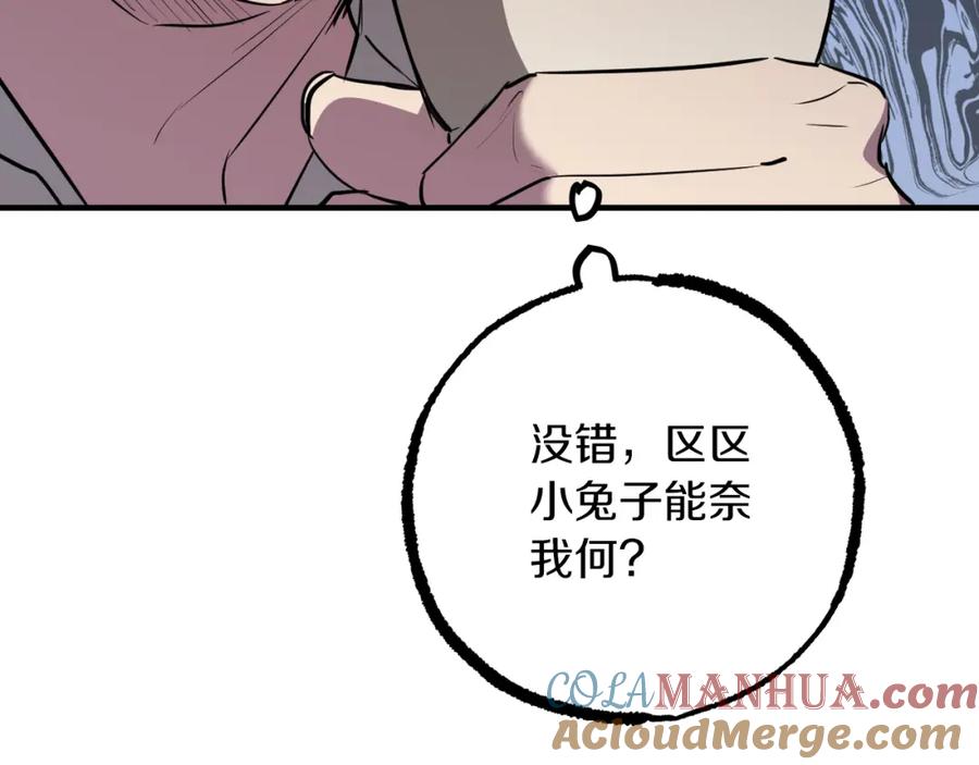 第205页