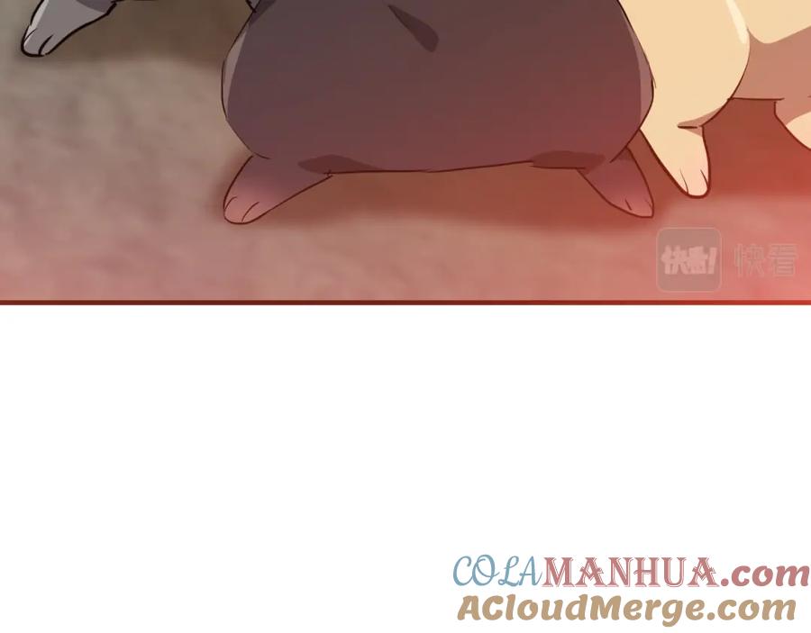 第217页