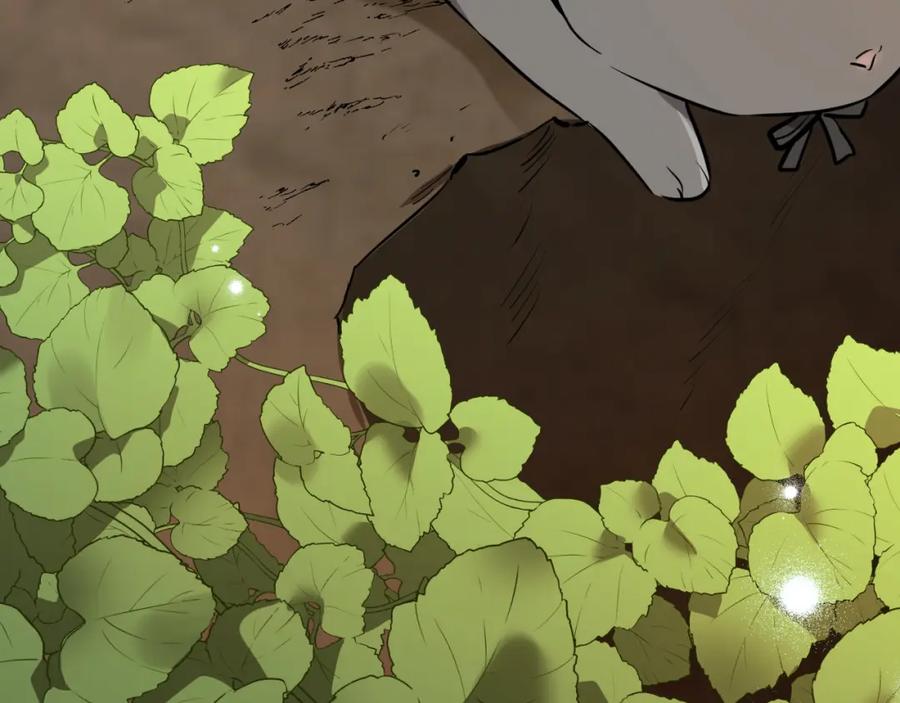 第223页