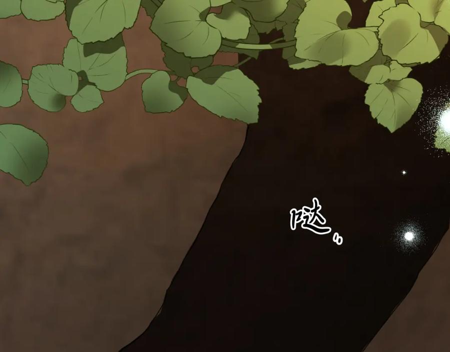 第224页