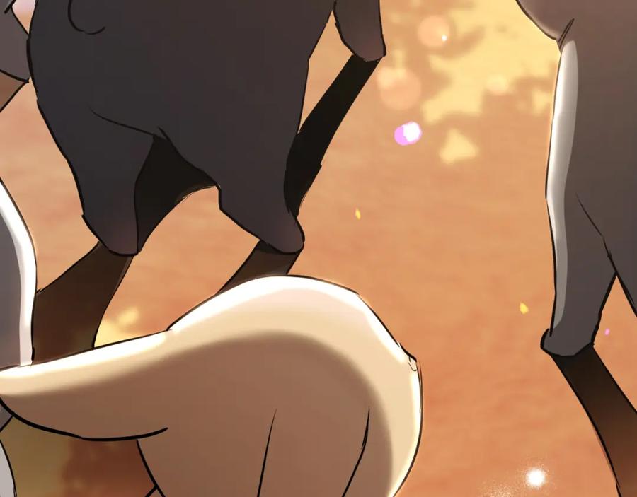 第234页