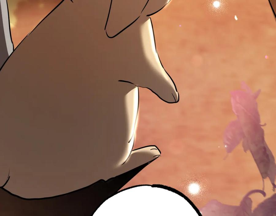 第235页