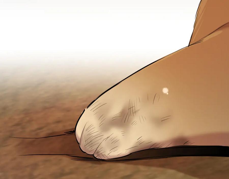 第214页