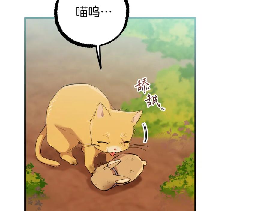 第216页