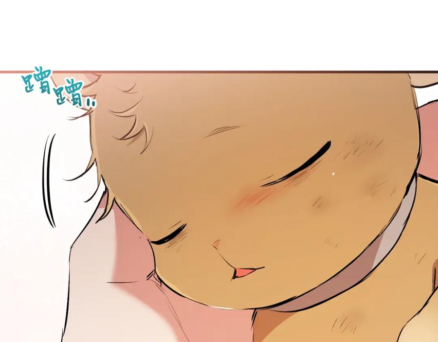第208页