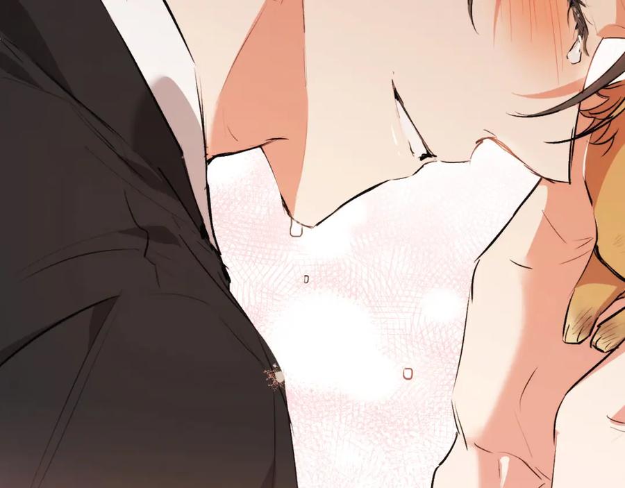 第215页