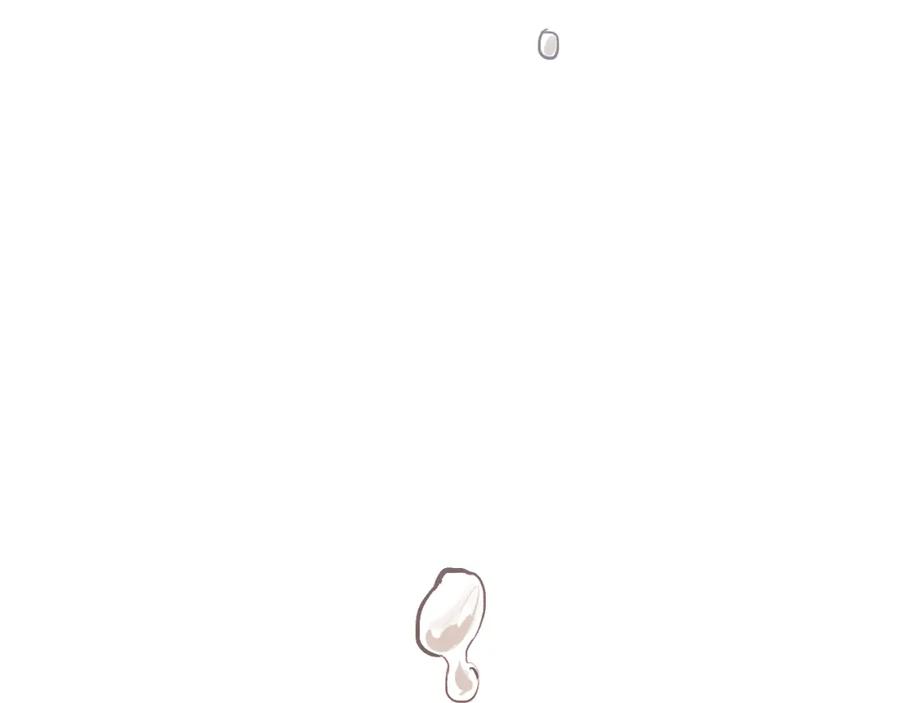 第244页