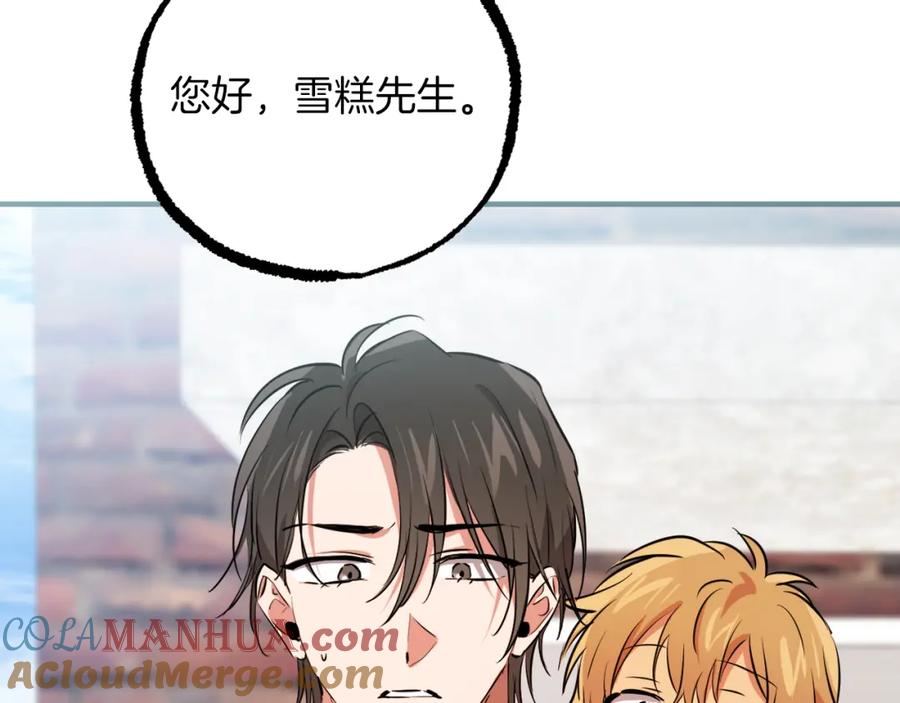 第205页