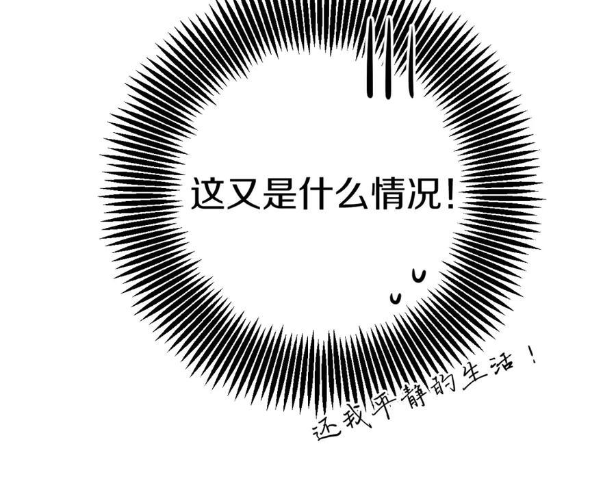 第223页