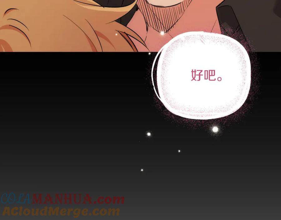 第205页
