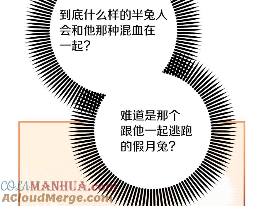 第221页