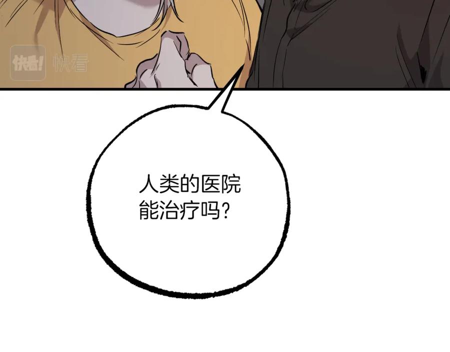第206页