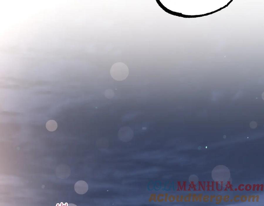 第241页