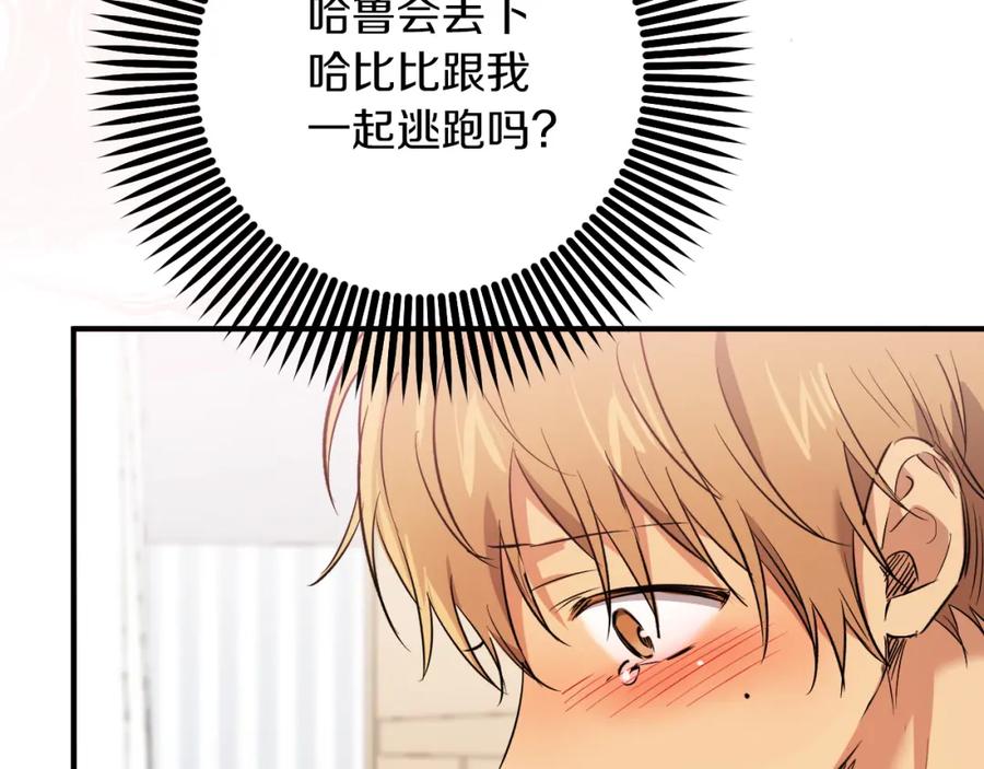 第196页