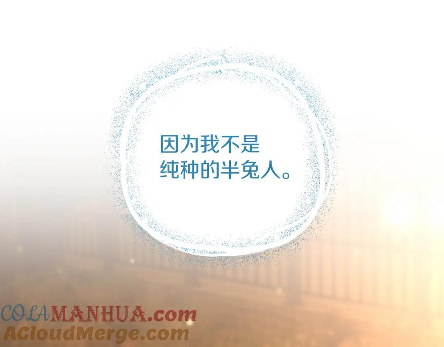 第233页