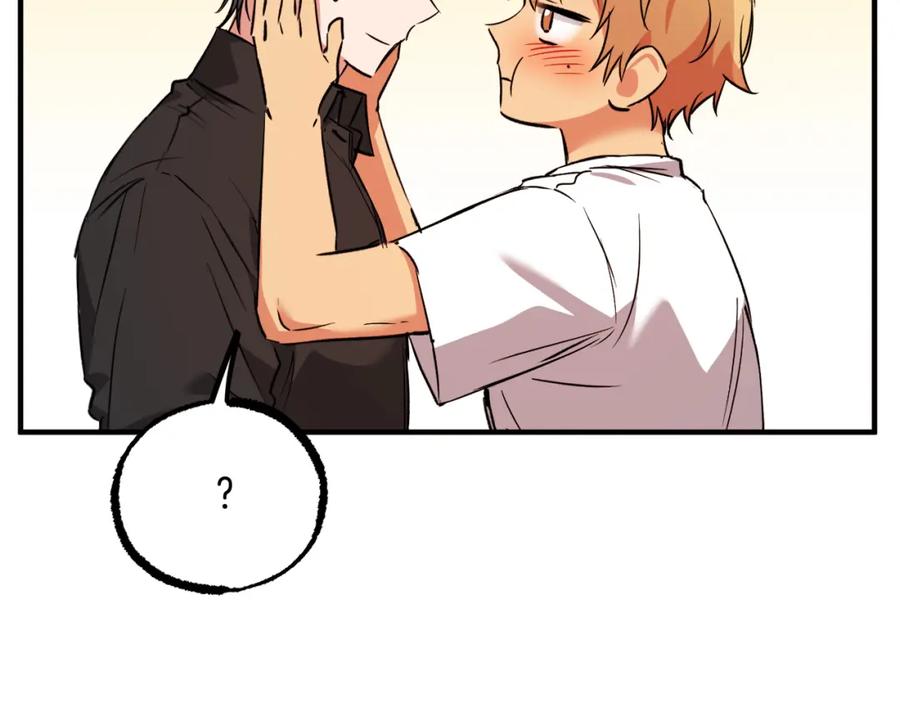 第240页