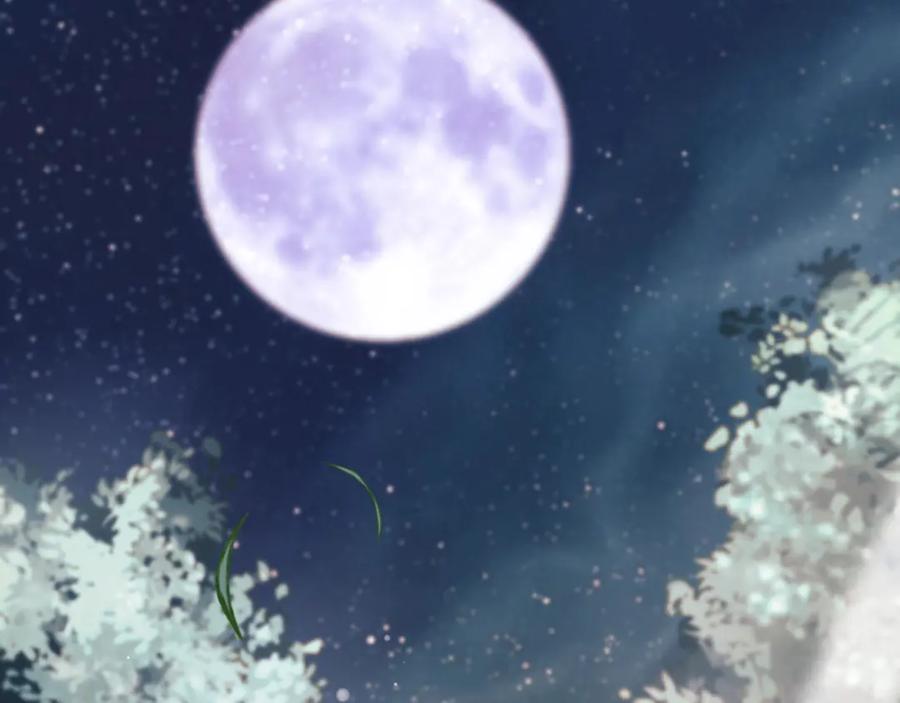 第214页