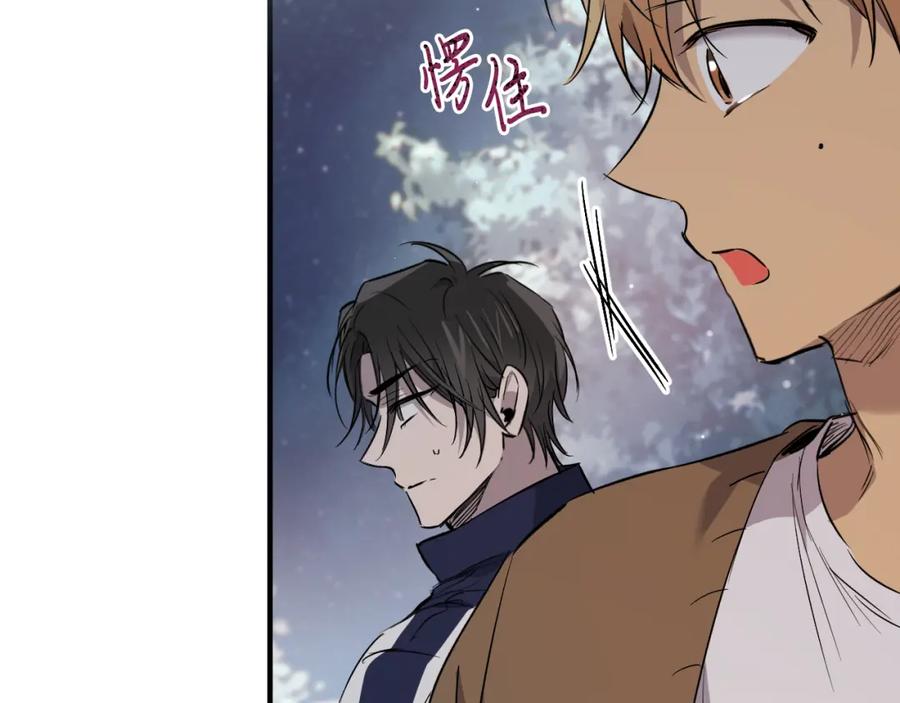 第223页