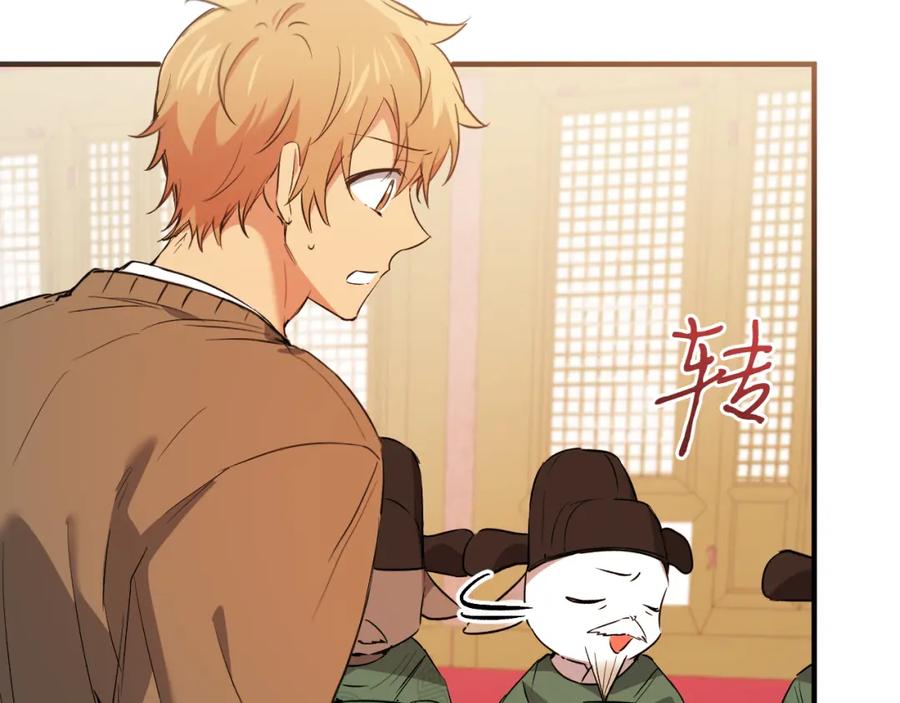 第215页