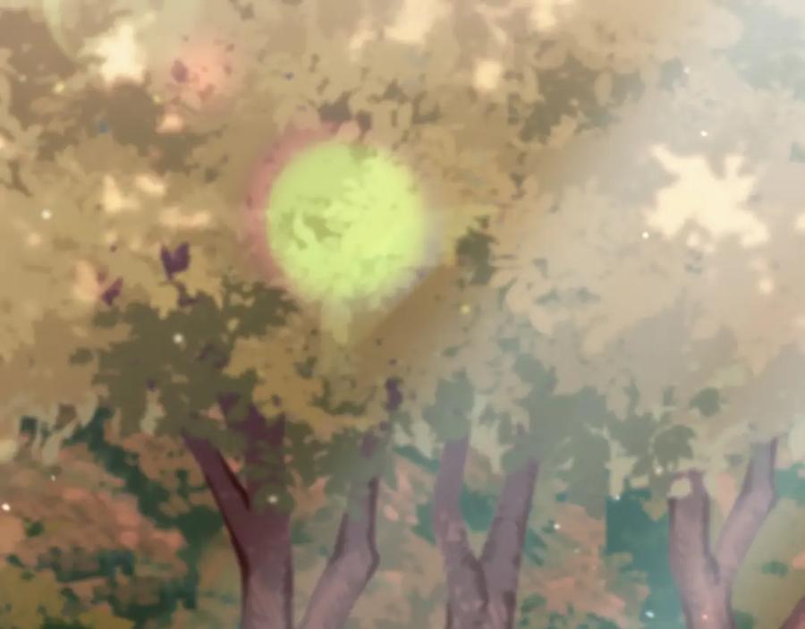 第204页