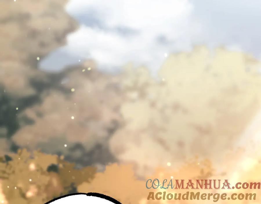 第225页