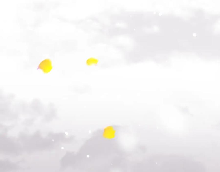第196页