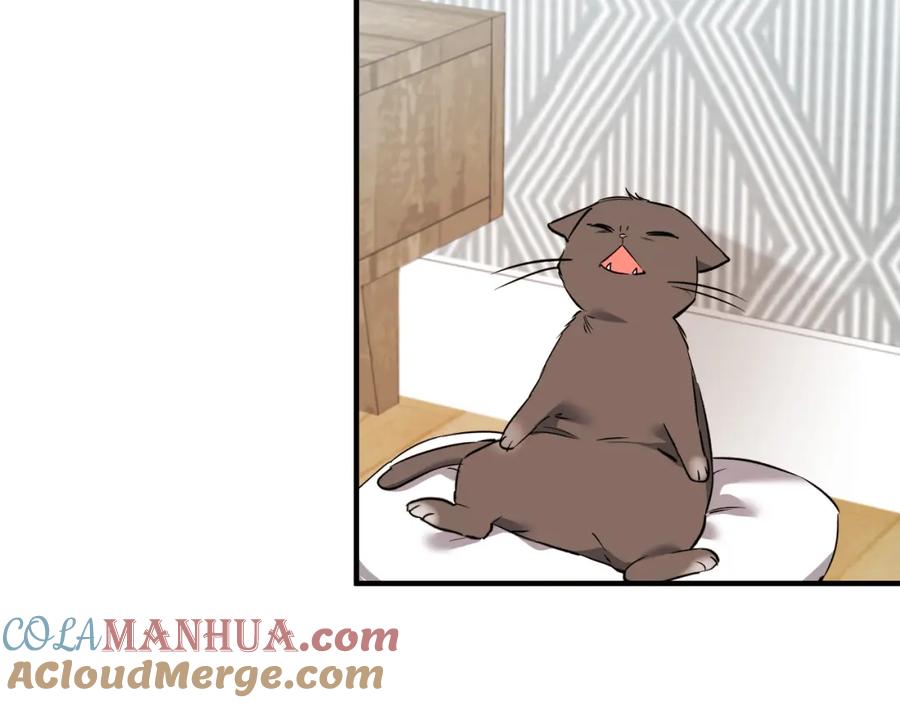 第205页