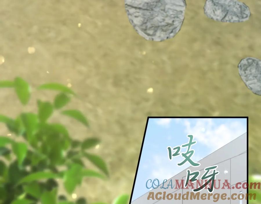 第237页