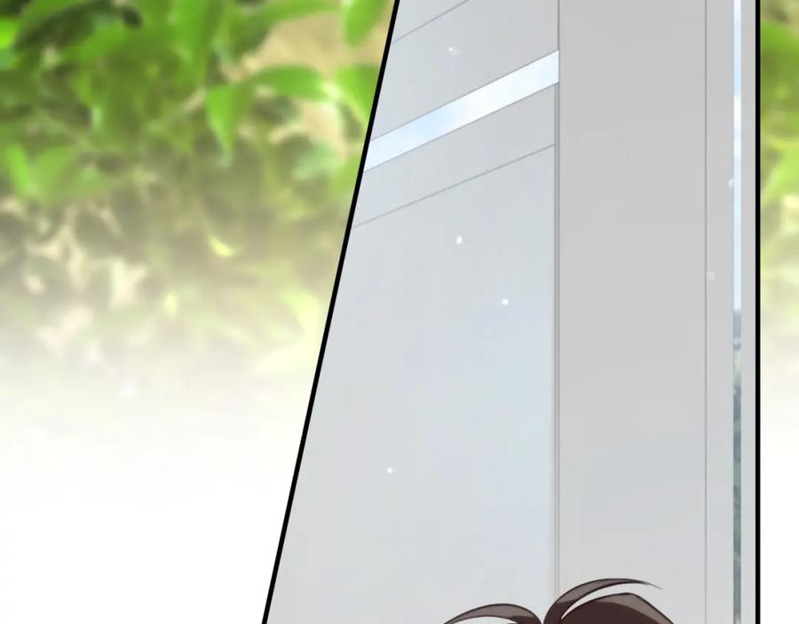 第238页