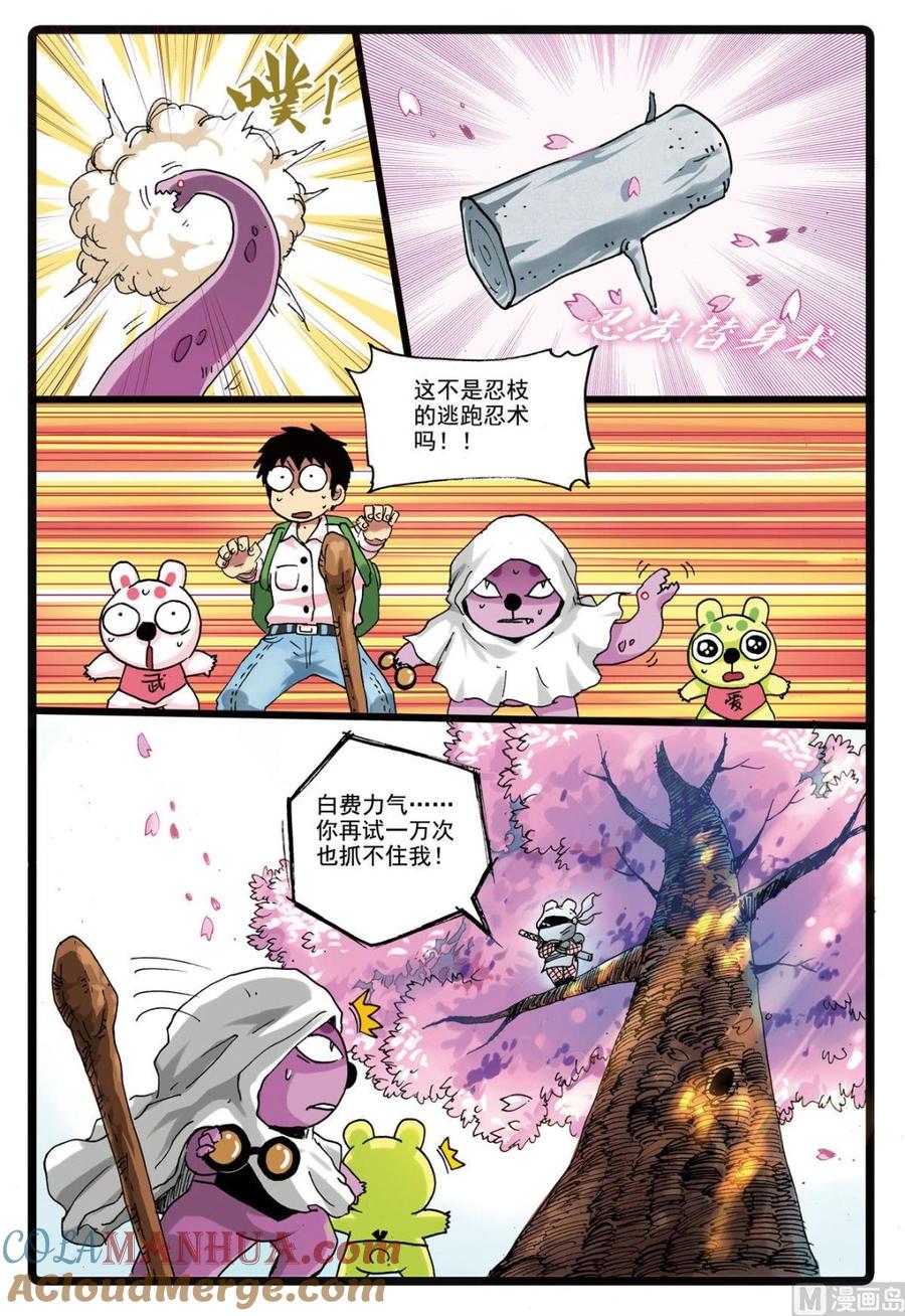 第11页