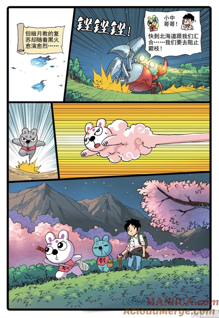 第19页
